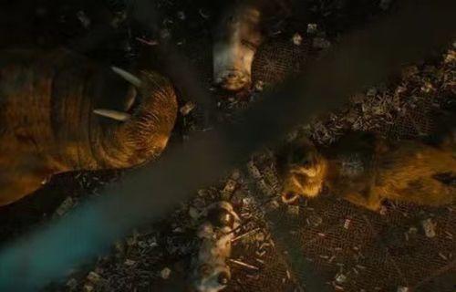 响箭电影在线观看,揭秘热门影视作品的魅力所在 第3张 响箭电影在线观看,揭秘热门影视作品的魅力所在 第3张