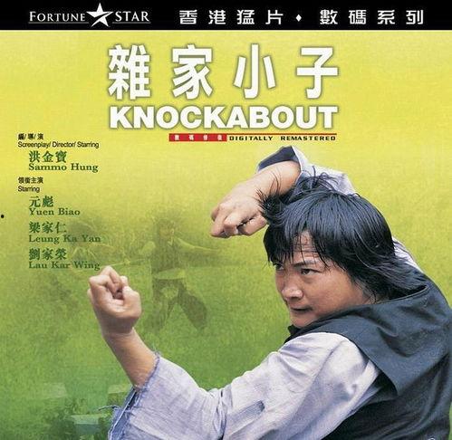 杂家小子在线观看,穿越时空的智慧之旅