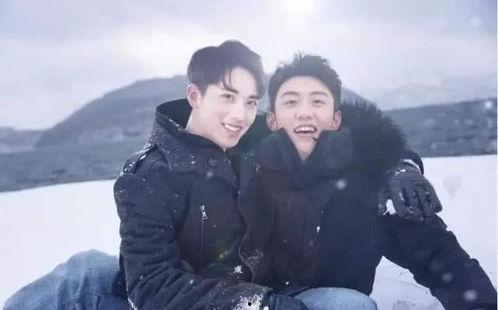 狗崽爆料黄景瑜视频播放,揭秘幕后真相