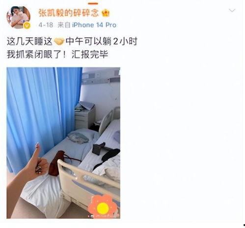 张凯毅男友爆料了吗视频